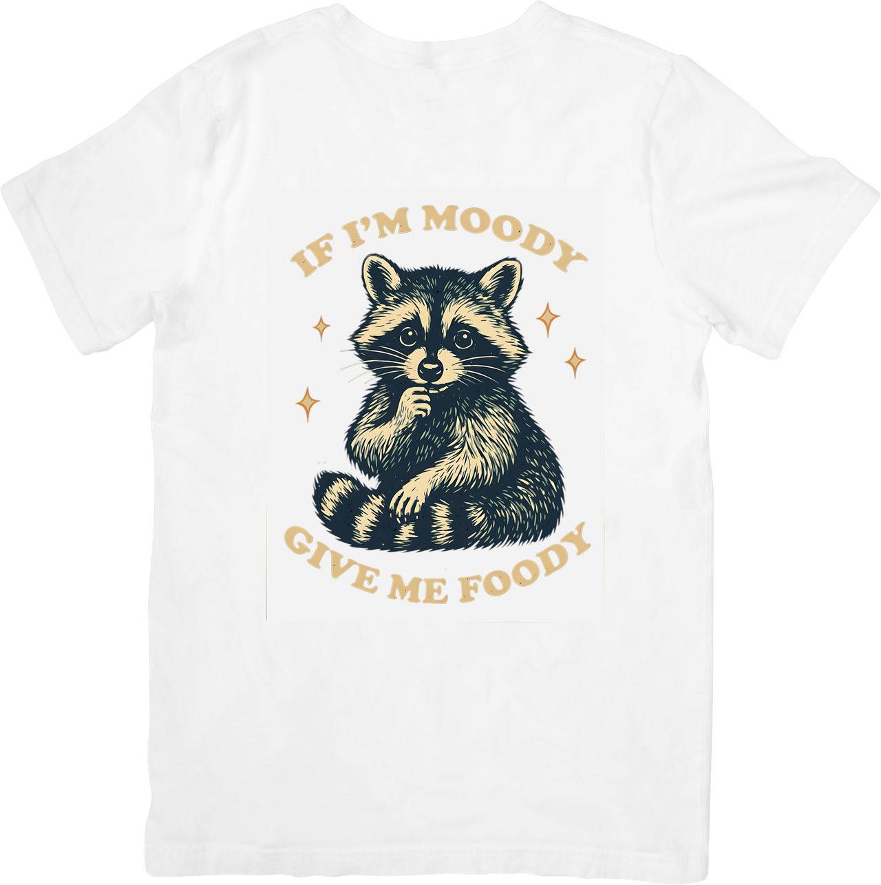 Moody Raccoon Give Me Food T-Shirt Funny Vintage Animal Graphic Tee