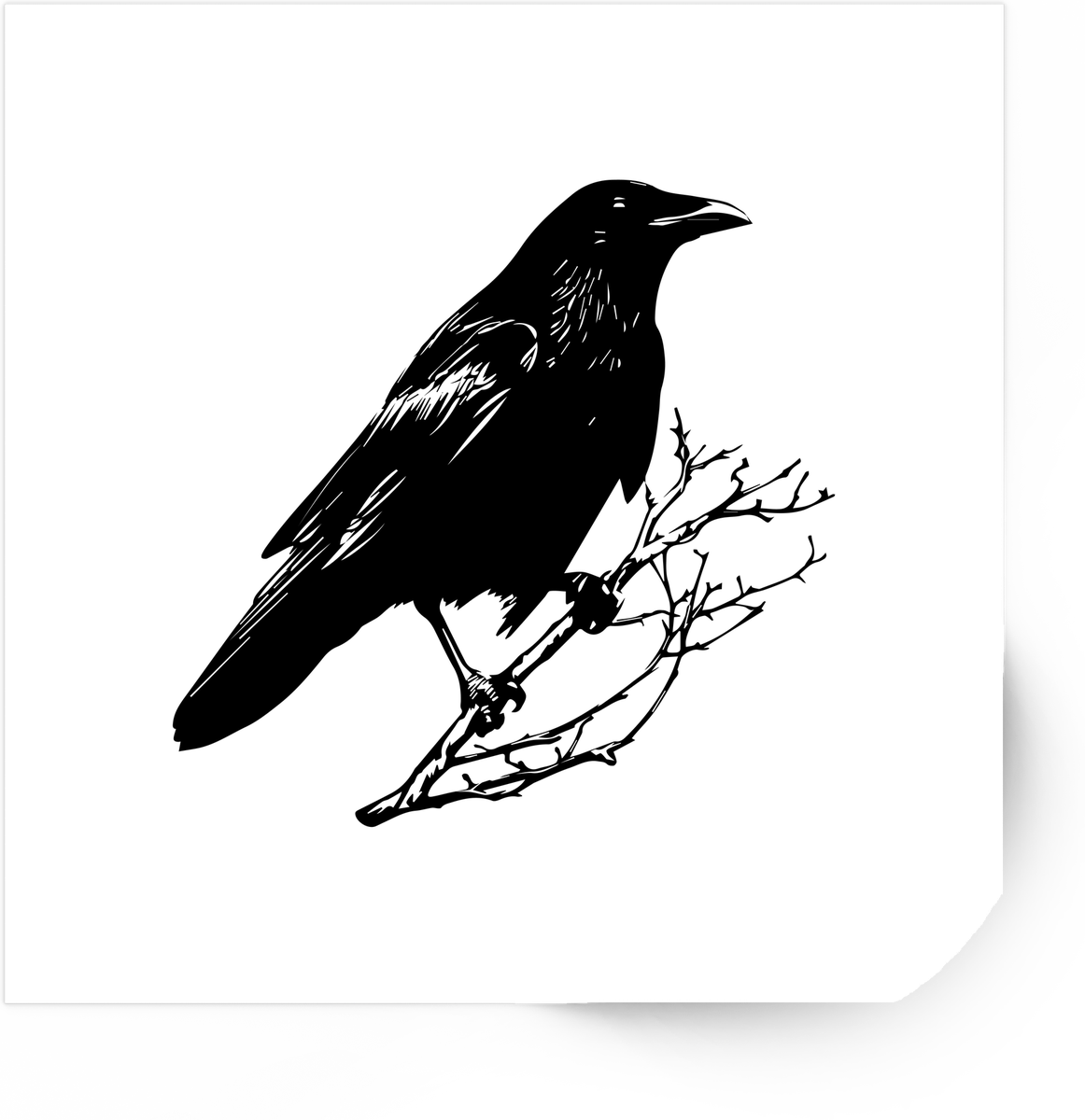 Raven On Branch Sticker | Black Crow Gothic Vinyl Decal | Dark Aesthetic Gift