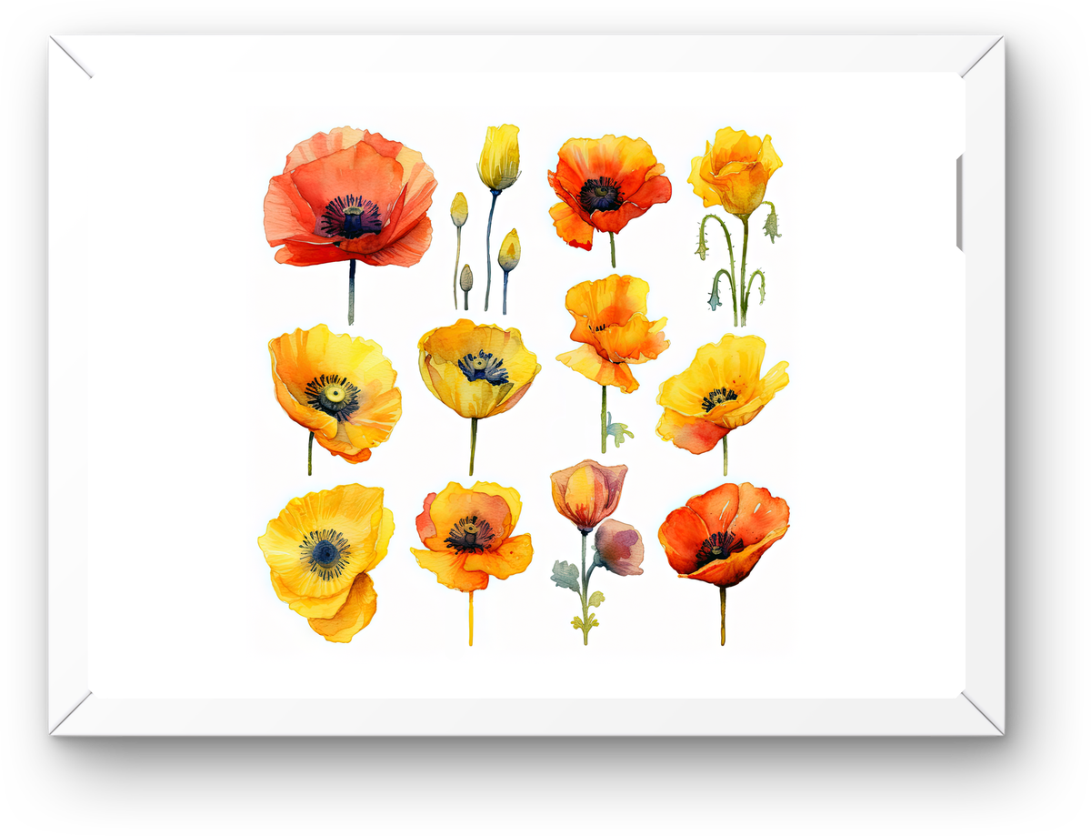 Watercolor Poppy Flowers Wall Art | Orange & Yellow Floral Print | Botanical Home Gift